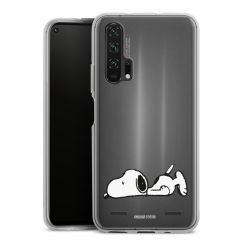 Carry Case Single Transparent