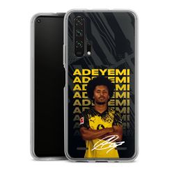 Carry Case Single Transparent