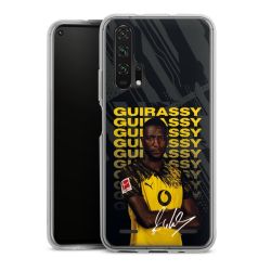 Carry Case Single Transparent