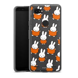 Carry Case Single Transparent