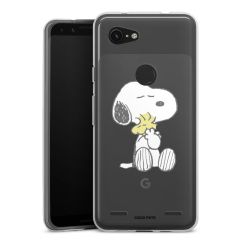 Carry Case Single Transparent