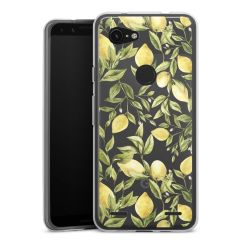 Carry Case Single Transparent