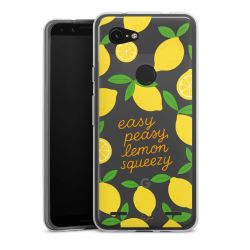 Carry Case Single Transparent