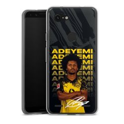 Carry Case Single Transparent