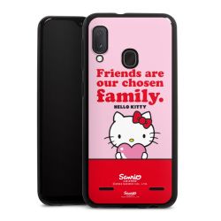 Carry Case Hülle Schwarz ohne Band