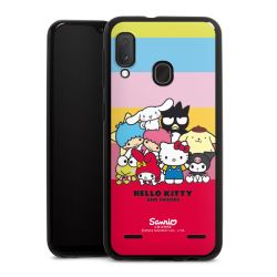 Carry Case Hülle Schwarz ohne Band