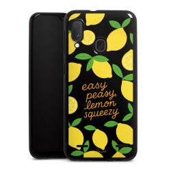 Carry Case Single Black