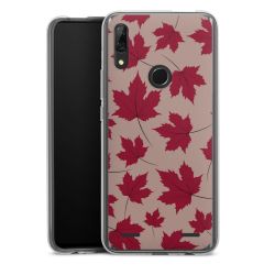 Carry Case Single Transparent