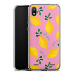 Carry Case Single Transparent