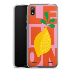 Carry Case Single Transparent