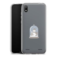 Carry Case Single Transparent