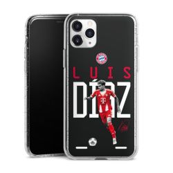 Carry Case Hülle Transparent/glitter ohne Band