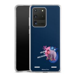 Carry Case Single Transparent