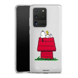 Carry Case Single Transparent