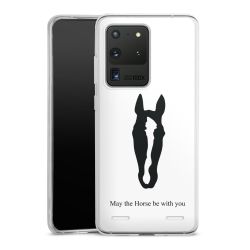 Carry Case Single Transparent