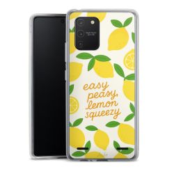 Carry Case Single Transparent