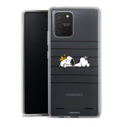 Carry Case Single Transparent