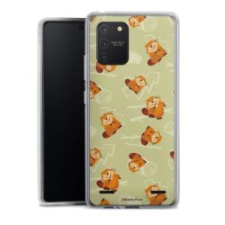 Carry Case Single Transparent