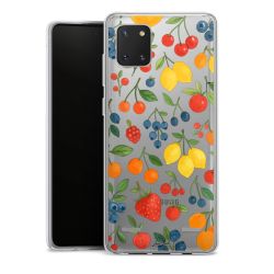 Carry Case Single Transparent