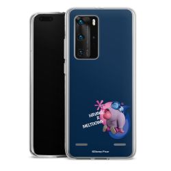 Carry Case Single Transparent