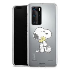 Carry Case Single Transparent