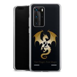 Carry Case Single Transparent