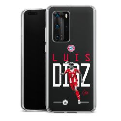 Carry Case Single Transparent