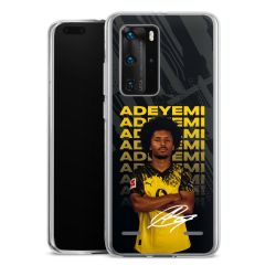 Carry Case Single Transparent