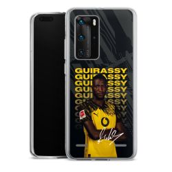 New Carry Case Hülle Transparent