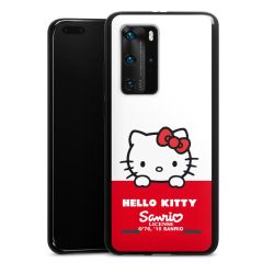 Carry Case Hülle Schwarz ohne Band