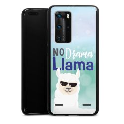 Carry Case Single Black