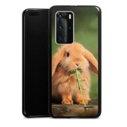 Carry Case Single Black