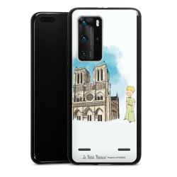 Carry Case Single Black