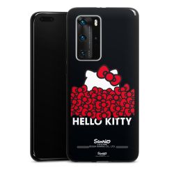 Carry Case Hülle Schwarz ohne Band