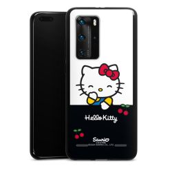 Carry Case Hülle Schwarz ohne Band