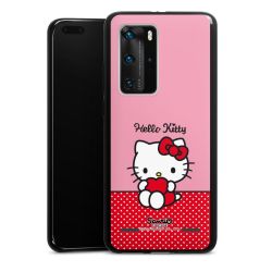 Carry Case Hülle Schwarz ohne Band