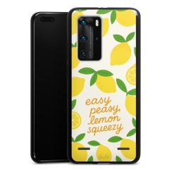 Carry Case Single Black