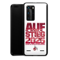 Carry Case Hülle Schwarz ohne Band