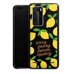 Carry Case Single Black