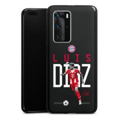 Carry Case Single Black