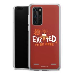 Carry Case Single Transparent