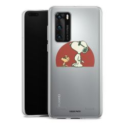 Carry Case Single Transparent