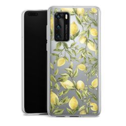 Carry Case Single Transparent