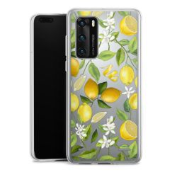 Carry Case Single Transparent