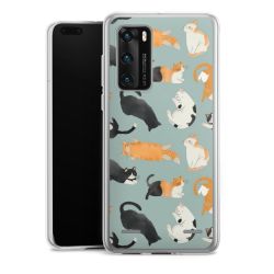 Carry Case Single Transparent