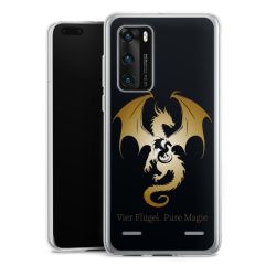 Carry Case Single Transparent