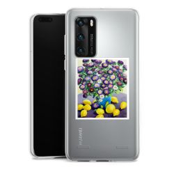 Carry Case Single Transparent