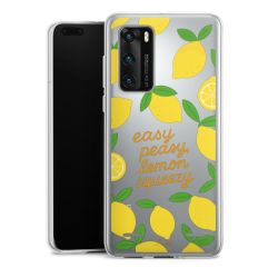 New Carry Case Hülle Transparent