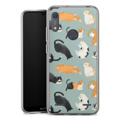 Carry Case Single Transparent