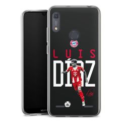 Carry Case Single Transparent